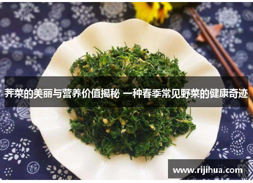 荠菜的美丽与营养价值揭秘 一种春季常见野菜的健康奇迹