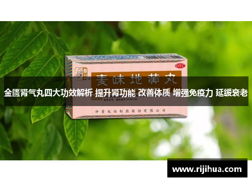 金匮肾气丸四大功效解析 提升肾功能 改善体质 增强免疫力 延缓衰老