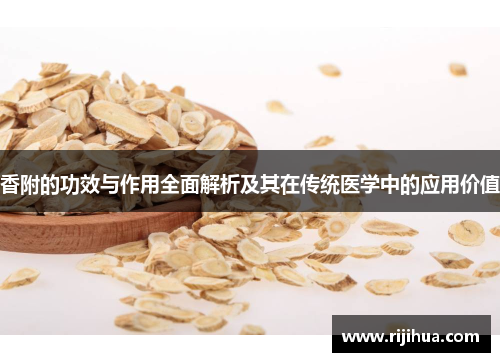 香附的功效与作用全面解析及其在传统医学中的应用价值